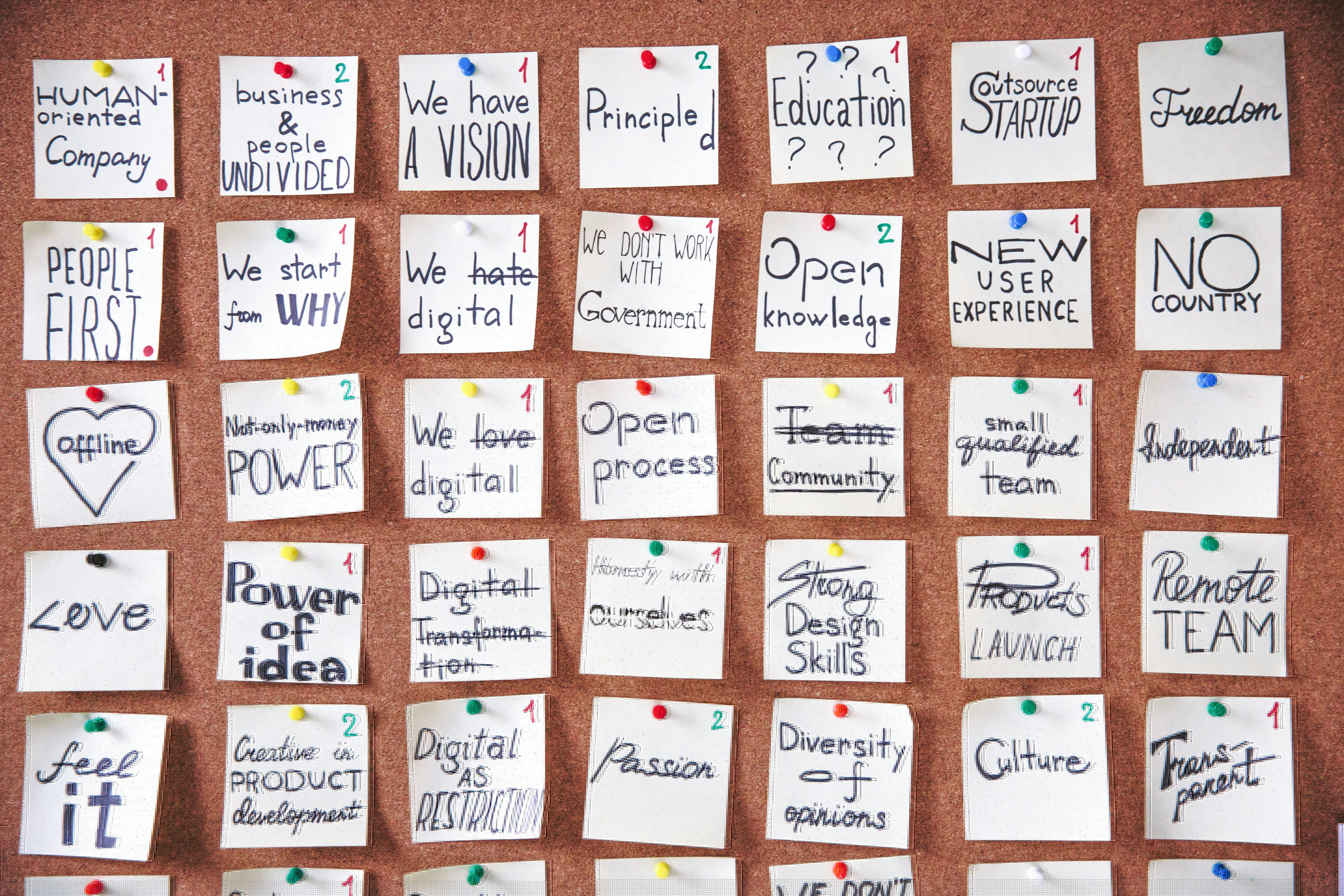 The Art of Category Management: Maximizing Profitability and Market Impact